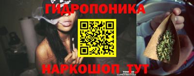 бошки Волжский