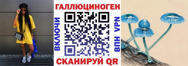 Галлюциногенные грибы мицелий  mega tor  Калуга 