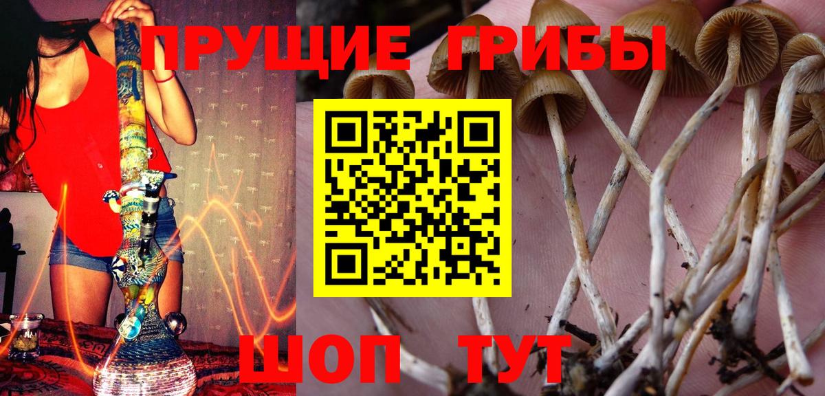наркошоп  Вход с VPN  Калуга  Галлюциногенные грибы Cubensis  Галлюциногенные грибы Cubensis 